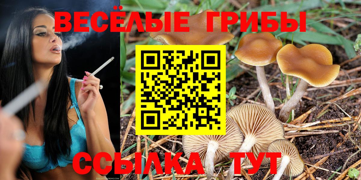 Галлюциногенные грибы Cubensis Пушкино