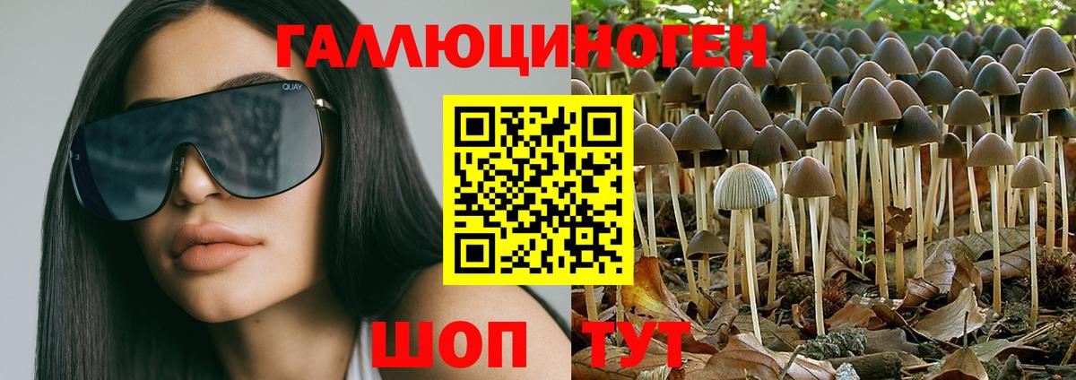 Пушкино  где купить наркоту  Вход с VPN  Галлюциногенные грибы мухоморы  Галлюциногенные грибы прущие грибы 